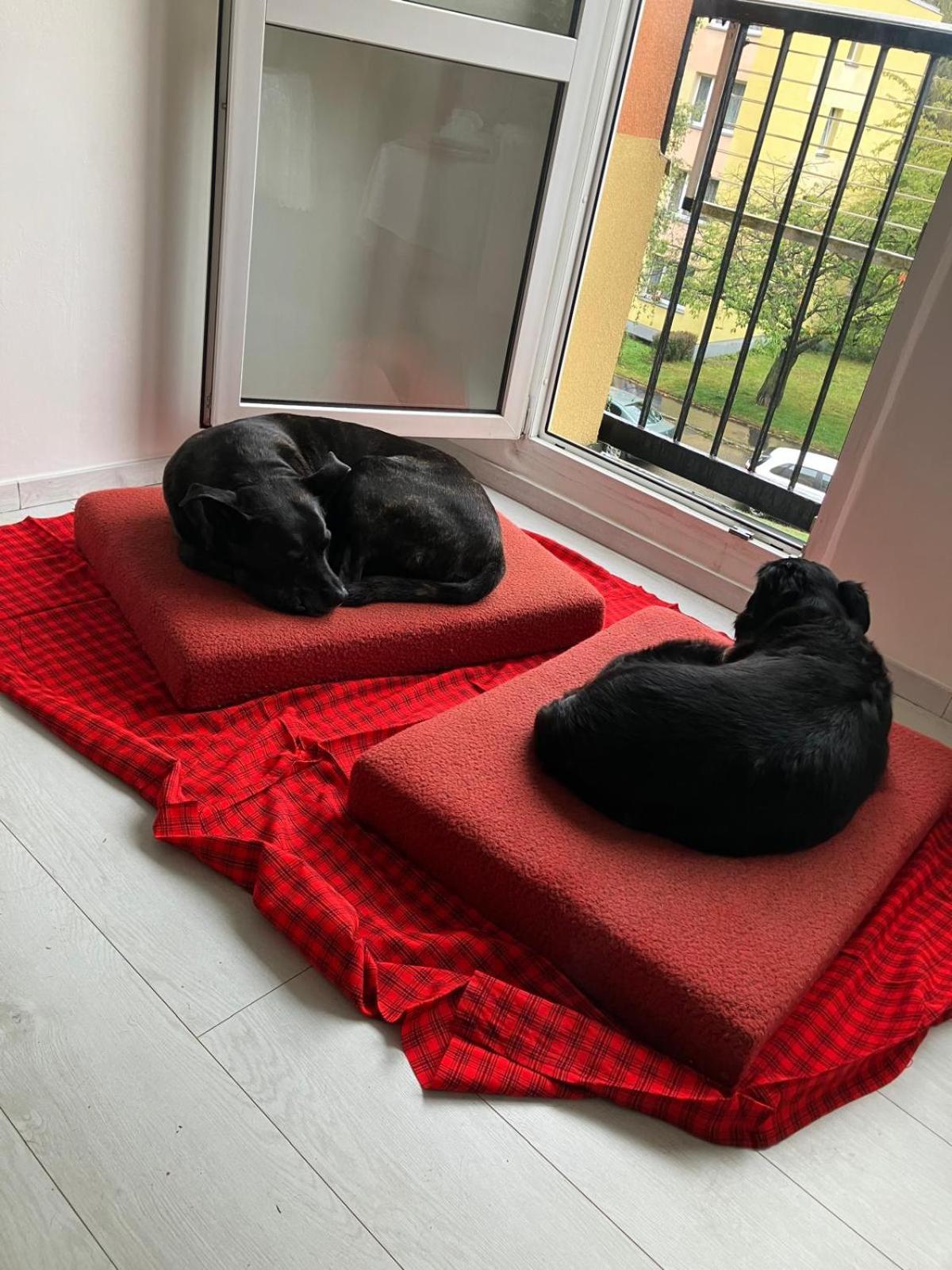 U Lesoparku - Kobylisy Apartmán *