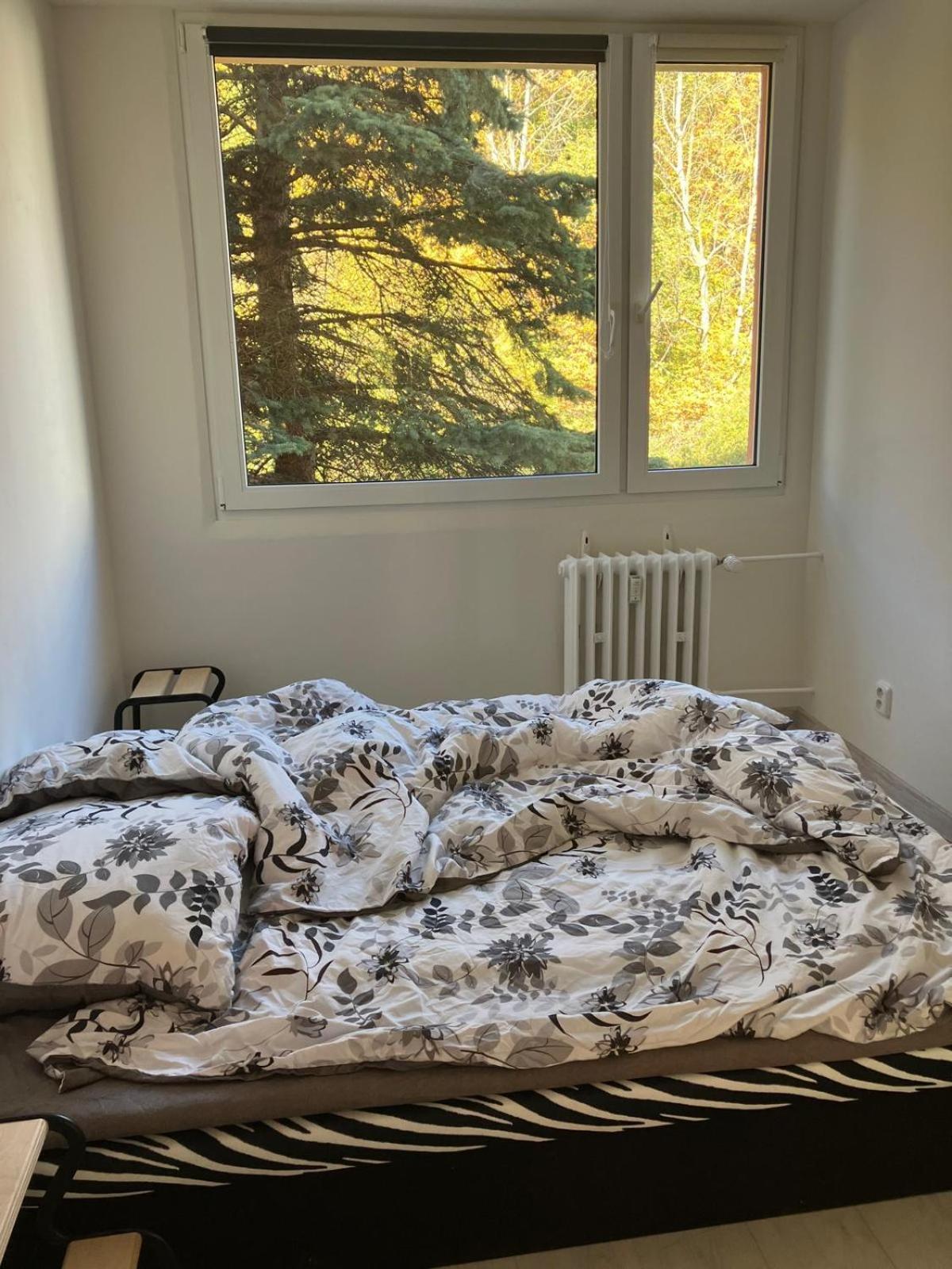 Apartment U Lesoparku - Kobylisy Prague